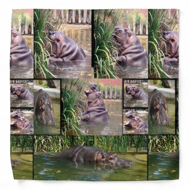 Hippo Photo Collage,  Bandana (Front)