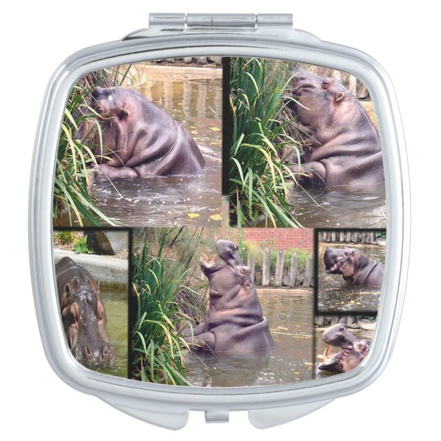 Hippo Photo Collage, Compact Mirror (Front)