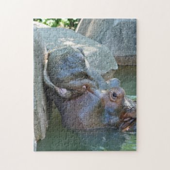 Hippo Puzzle by lynnsphotos at Zazzle