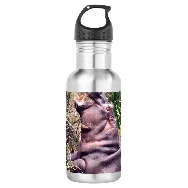 Hippo Roar, Stainless Steel Water Bottle (Front)