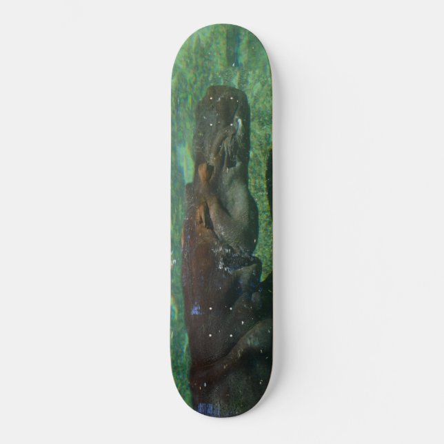 Hippo Swimming Underwater,  Skateboard (Front)