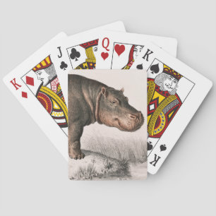 Hippo vintage illustrated poker cards