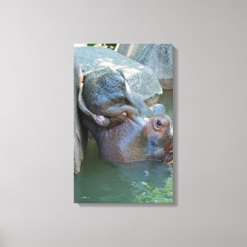 Hippo Wrapped Canvas by lynnsphotos at Zazzle