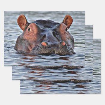 Hippo Wrapping Paper Sheets by MehrFarbeImLeben at Zazzle
