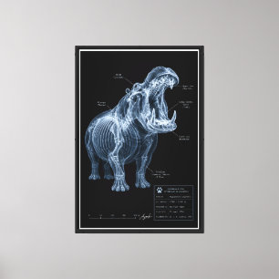 Hippo X-Ray Zoo Specimen Canvas Print