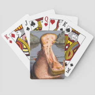 Hippo yawning, Tanzania Poker Cards