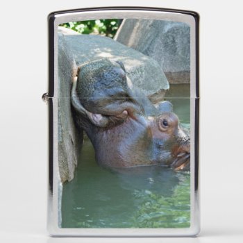 Hippo Zippo Lighter by lynnsphotos at Zazzle