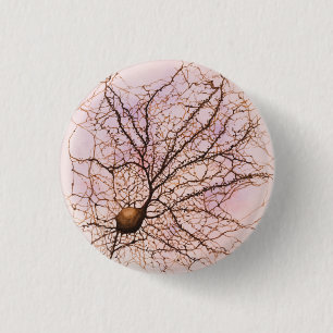 Hippocampal neuron - Button & Pin