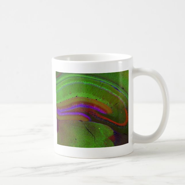 Hippocampal neurons coffee mug (Right)