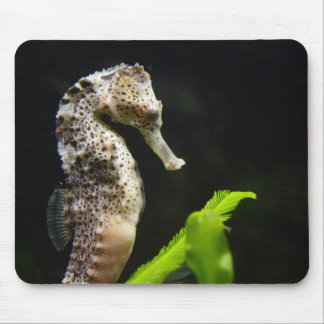Hippocampus Mouse Pad