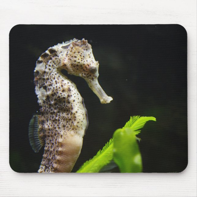 Hippocampus Mouse Pad (Front)