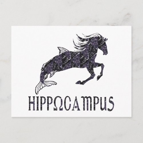 Hippocampus Postcard