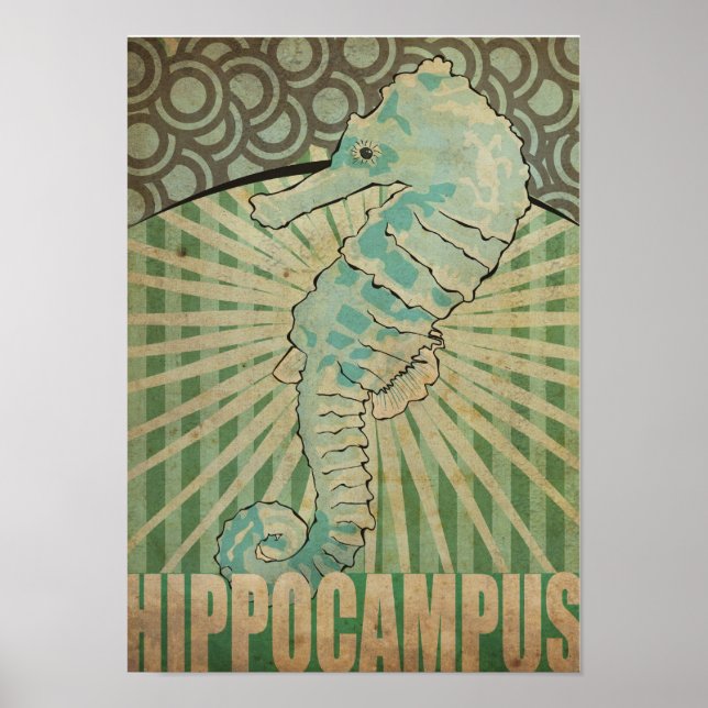 Hippocampus Poster (Front)