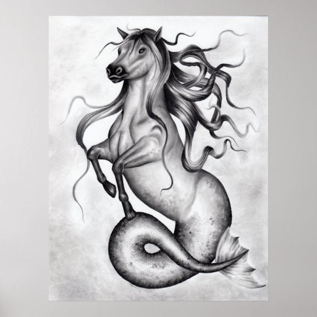 Hippocampus Poster (Front)