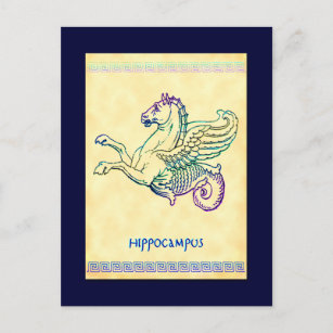 Hippocampus Sea Horse Vintage Art Postcard