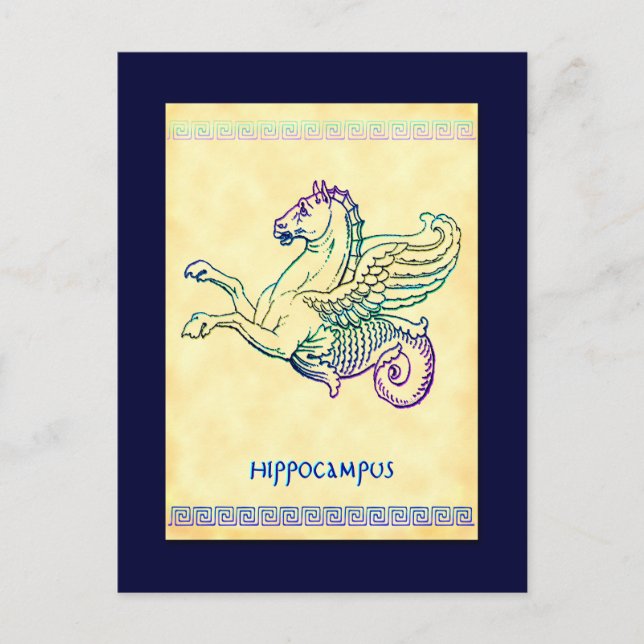 Hippocampus Sea Horse Vintage Art Postcard (Front)