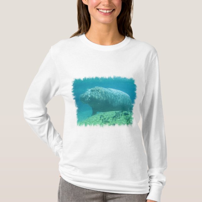 Hippopatumus Habitat Hoodie T-Shirt (Front)