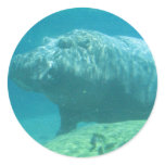 Hippopatumus Habitat Stickers