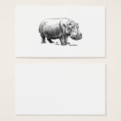 Hippopotamus (Front & Back)