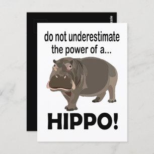 Hippopotamus Animal Funny Hippo  Postcard