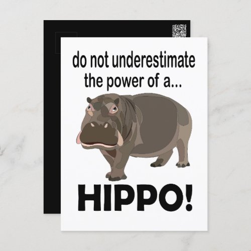 Hippopotamus Animal Funny Hippo  Postcard