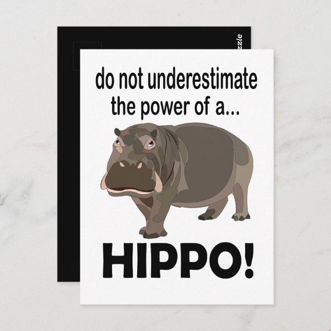 Hippopotamus Animal Funny Hippo  Postcard (Front/Back)