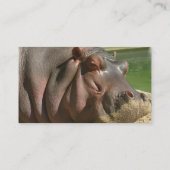 Hippopotamus Business Card (Back)