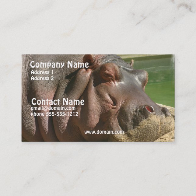 Hippopotamus Business Card (Front)