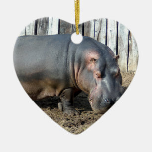Hippopotamus Christmas Ornament