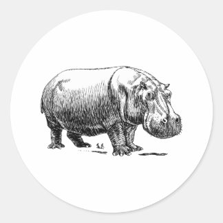 Hippopotamus Classic Round Sticker