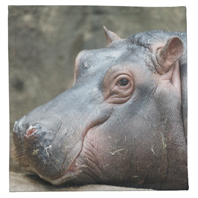 Hippopotamus cloth napkins (Front)