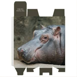 Hippopotamus custom wine gift box