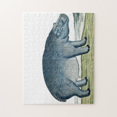 Hippopotamus _ Hippo _ Africa Animal _ Cute Hippo  Jigsaw Puzzle