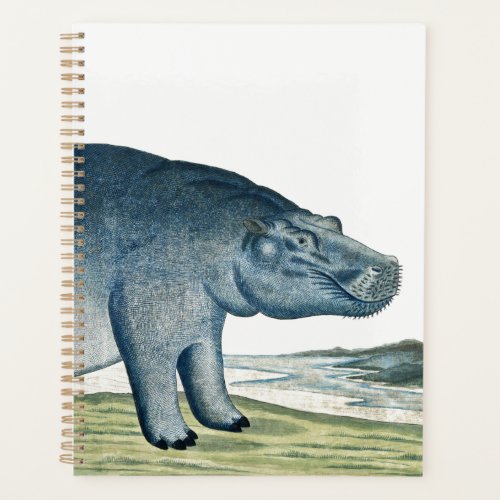 Hippopotamus _ Hippo _ Africa Animal _ Cute Hippo  Planner