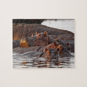 Hippopotamus, Hippopotamus amphibius, Lake Jigsaw Puzzle