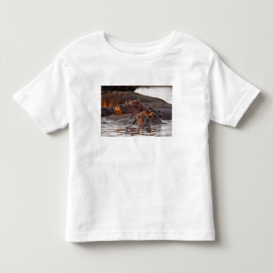 Hippopotamus, Hippopotamus amphibius, Lake Toddler T-shirt