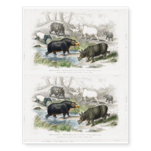 Hippopotamus, Indian Rhinoceros, Muchoco Wild Life Temporary Tattoos