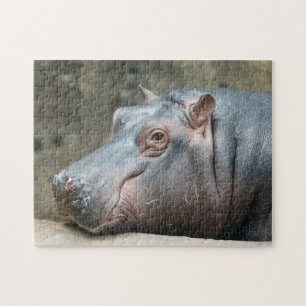 Hippopotamus photo puzzle