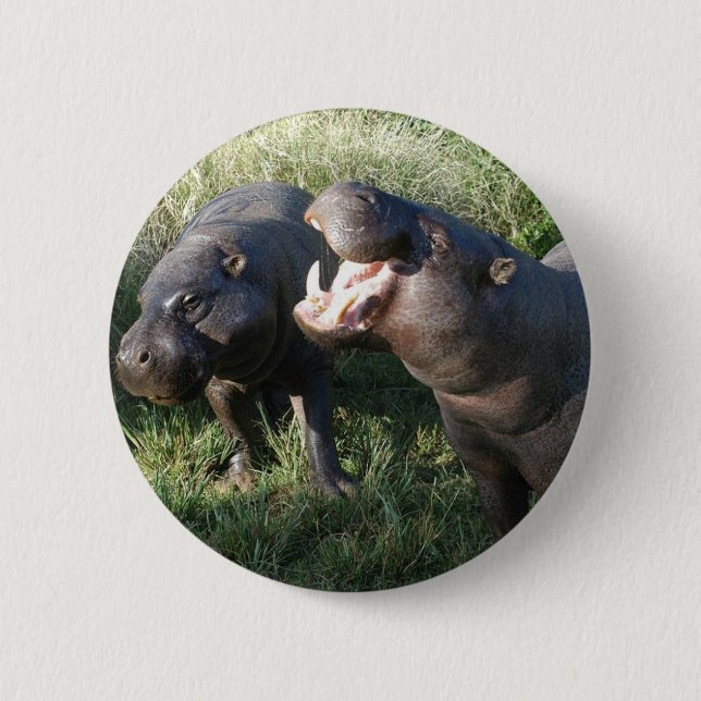 Hippopotamus Pinback Button (Front)
