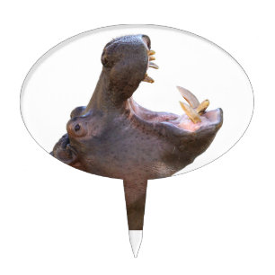 Hippopotamus products cake topper