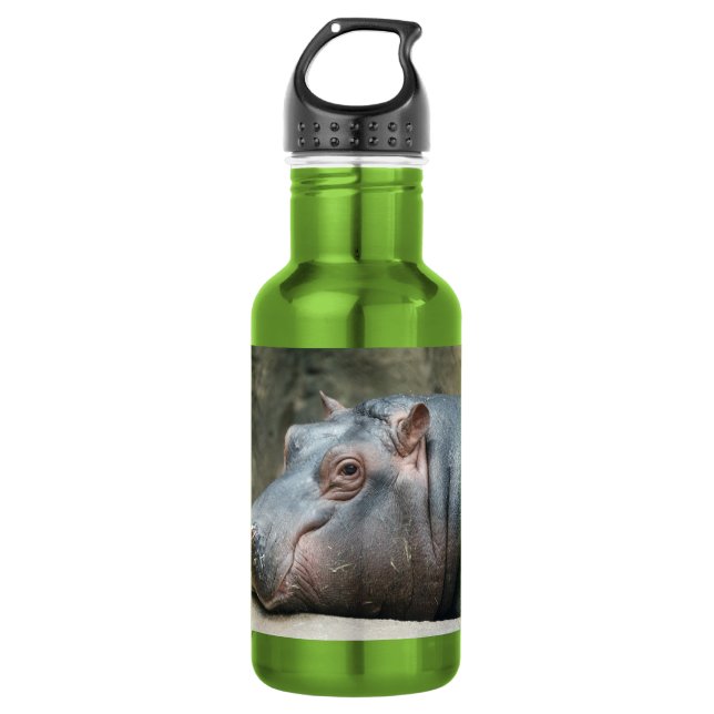 Hippopotamus Stainless Steel Water Bottle (Front)