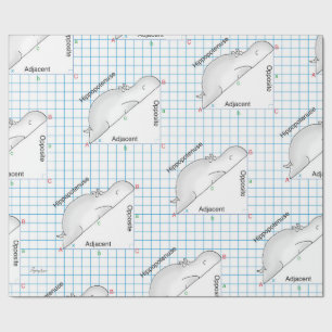 HIPPOPOTENUSE by Sandra Boynton Wrapping Paper