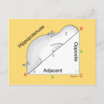 HIPPOPOTENUSE postcard by Sandra Boynton<br><div class="desc">This helpful geometry diagram shows the parts of a right triangle: the adjacent,  the opposite,  and the…wait. What? (A classic Boynton design from 1980,  which she redrew in 2013.)</div>