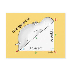 HIPPOPOTENUSE postcard by Sandra Boynton
