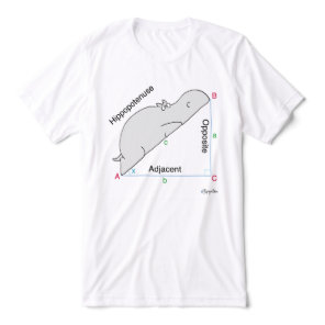 HIPPOPOTENUSE T-shirt by Sandra Boynton Tri-Blend Shirt