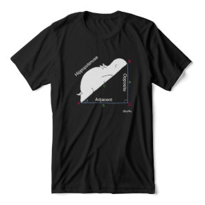 HIPPOPOTENUSE T-shirt by Sandra Boynton Tri-Blend Shirt