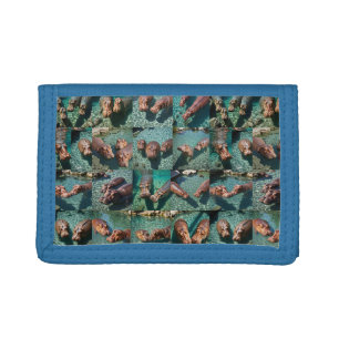 Hippos at Play: A Pond Paradise Tri-fold Wallet
