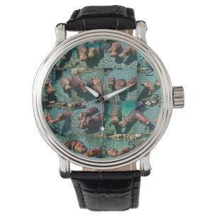 Hippos at Play: A Pond Paradise Watch