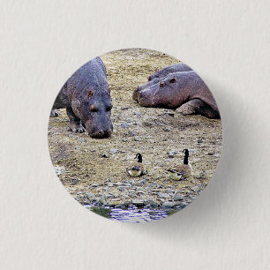 HIPPOS BUTTON