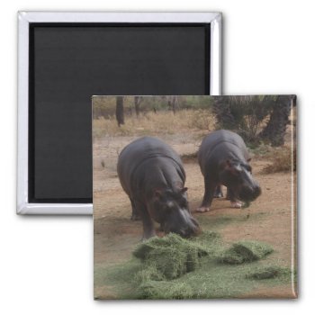 Hippos Jigsaw Puzzle Magnet by MehrFarbeImLeben at Zazzle